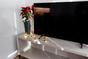 Et tv og/eller underholdning på Park & Town Apartment