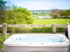 eine Badewanne mit Blick auf ein Feld in der Unterkunft Rivendell Glamping Pod - Uk11881 in North Tamerton + 10 Fotos