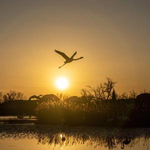 Východ nebo západ slunce při pohledu z ubytování na lodi nebo okolí