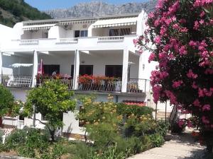 Cảnh núi rừng hoặc tầm nhìn ra núi từ căn hộ