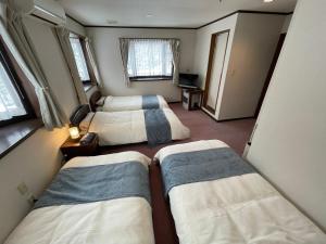 una camera con due letti e una tv di ペンション歩野慕野-honobono a Kitashiobara