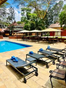 Bazén v ubytování Sweet Lake Resort nebo v jeho okolí