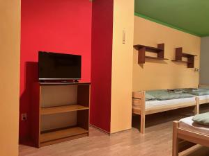 een kamer met een tv en een bed erin bij Apartmán Ramzová - naRamzovou in Ostružná