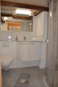 Gallery image of Apartment Breiten by Interhome in Brunnadern