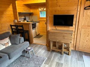 een woonkamer met een bank en een tv in een huisje bij Glenhill Lodge in Roybridge