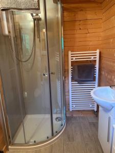 een badkamer met een douche, wastafel en toilet bij Glenhill Lodge in Roybridge +17 foto's