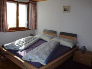 Gallery image of Apartment Steinern by Interhome in Ufhusen