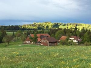 Gallery image of Apartment Steinern by Interhome in Ufhusen