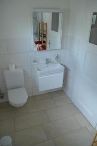 a white bathroom with a toilet and a sink at Apartment Wohnung Bellevue by Interhome in Chevenez +14 photos