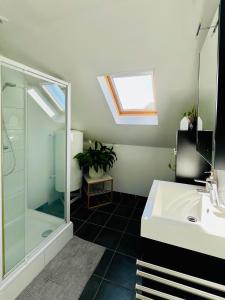 a bathroom with a glass shower and a sink at Ruime studio met eigen ingang en private badkamer in Opwijk +10 photos