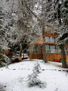 ECHIVITI Cottages in Abastumani v zimě