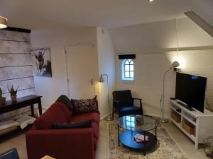 ein Wohnzimmer mit einem roten Sofa und einem Fernseher in der Unterkunft Drentse krent in Veeningen