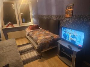 a bedroom with a bed and a flat screen tv at Malmoxie Unic Garden House in Oxie