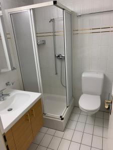 een badkamer met een douche, een toilet en een wastafel bij Cozy Studio with Wellness in Goms in Blitzingen