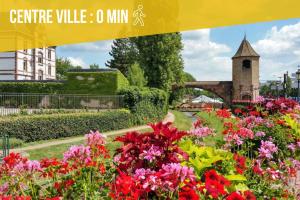 a bunch of flowers in a garden with a church at Chic&Cosy - Vue exceptionnelle - Centre Haguenau in Haguenau
