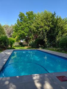 een zwembad met blauw water in een tuin bij Cozy Corner in Bloemfontein