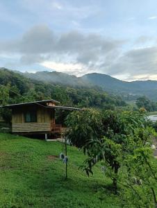 een huis in het midden van een veld met een boom bij Chanya homestay in Ban Yang
