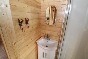 a small bathroom with a sink and a mirror at Glenview Log Cabin in Ballycastle +26 photos