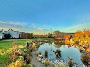 Naturlandskabet i nærheden af lejligheden + 14 billeder