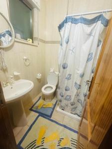 Un baño con inodoro y cortina de ducha. en Hayek Guest Villa, en Bethlehem