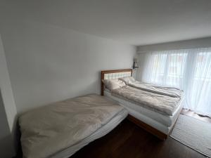 a bedroom with two twin beds and a window at Satin Home in Savognin