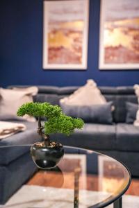 een kleine bonsaiboom op een glazen tafel bij Mayfield House in Newtongrange