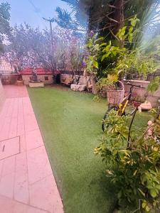 un jardín con césped verde, árboles y un camino en Hayek Guest Villa, en Bethlehem 3 fotos más