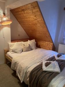 En eller flere senge i et værelse på Rodinný penzion Míša + 12 billeder