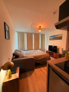 une chambre avec un lit, un canapé et une télévision dans l'établissement Studio with balcony, à Tournon-sur-Rhône