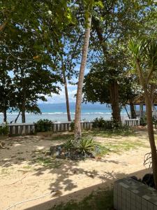 un parco con alberi e l'oceano sullo sfondo di Damar Tree Resort a Krui 1 altra foto
