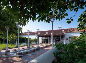 En have udenfor Sol Falcó Menorca