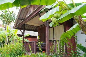 a house with a bunch of bananas hanging from a tree at Weekender Bungalow in Lamai