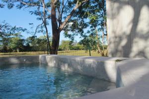 une piscine d'eau avec un arbre en arrière-plan dans l'établissement Nelblu Flamingo Suites, à Playa Flamingo 27 autres photos