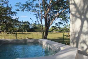 Bazén v ubytování Nelblu Flamingo Suites nebo v jeho okolí + 18 fotografií