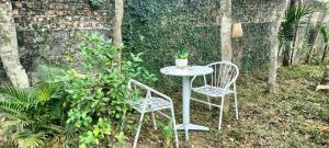 a small table with two chairs and a plant on it at Sunny House Homestay in Tam Ðảo