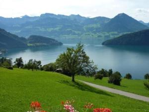 a green field with a tree in the middle of a lake at Apartment Oberwilen by Interhome in Vitznau