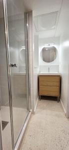 een badkamer met douche, wastafel en spiegel bij Duplex Saint-Martin in Josselin