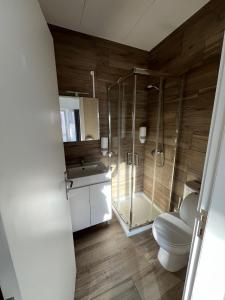 een badkamer met een douche, een toilet en een wastafel bij Junqueira76 Guesthouse in Póvoa de Varzim