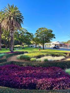 a park with flowers and palm trees in a park at Affordable accommodation near Perth CBD in Perth