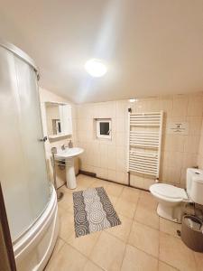 ein Badezimmer mit Toilette und Waschbecken in der Unterkunft Casa Oriana in Predeal