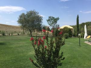 Vonkajšia záhrada v ubytovaní Agriturismo Marinello