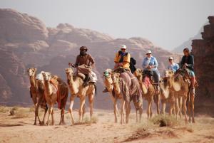 a group of people riding on camels in the desert at Jordan Tracks Bedouin Camp in Wadi Rum