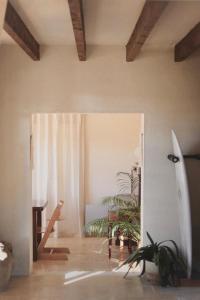 ein Zimmer mit einem Surfbrett und einer Pflanze darin in der Unterkunft Chambre privée à La Figulina in Grayan-et-lʼHôpital