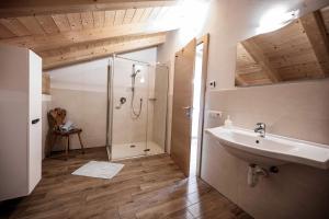 een badkamer met douche, wastafel en spiegel bij Oberhof Apt Panorama in Vallarga