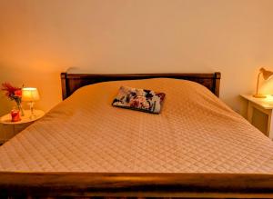 Afbeelding uit fotogalerij van Chambre Chez Lou in Bucey-lès-Gy +8 foto's