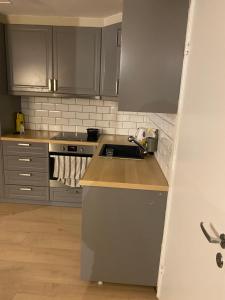 una cucina con lavello e fornello di Borggata a Oslo