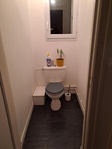 a small bathroom with a toilet and a mirror at Grand appart 2 chambres - max 6 pers in Vrigne-aux-Bois