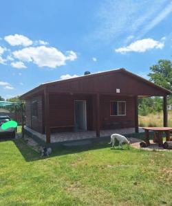 a dog and a cat in front of a cabin at Cabaña Juana Vg in Villa Giardino