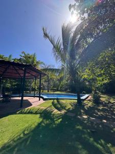 een palmboom naast een zwembad bij Blue Zone Private Eco Residence - Essence Suite - in Tamarindo