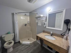 Koupelna v ubytování Chaplin Inn & Suites